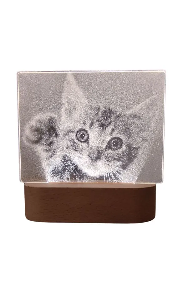 3D Acrylic Night Light Table Lamp with Wooden Base, Best Gift for Birthday, Anniversary, and Home Decor (Cute little Kitten)