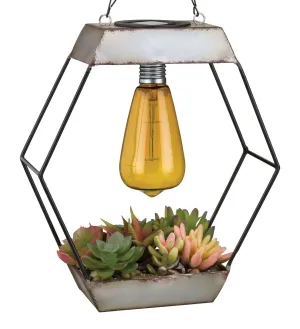 Edison Succulent Solar Lantern - Diamond