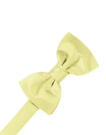 Golden Luxury Satin Bow Ties