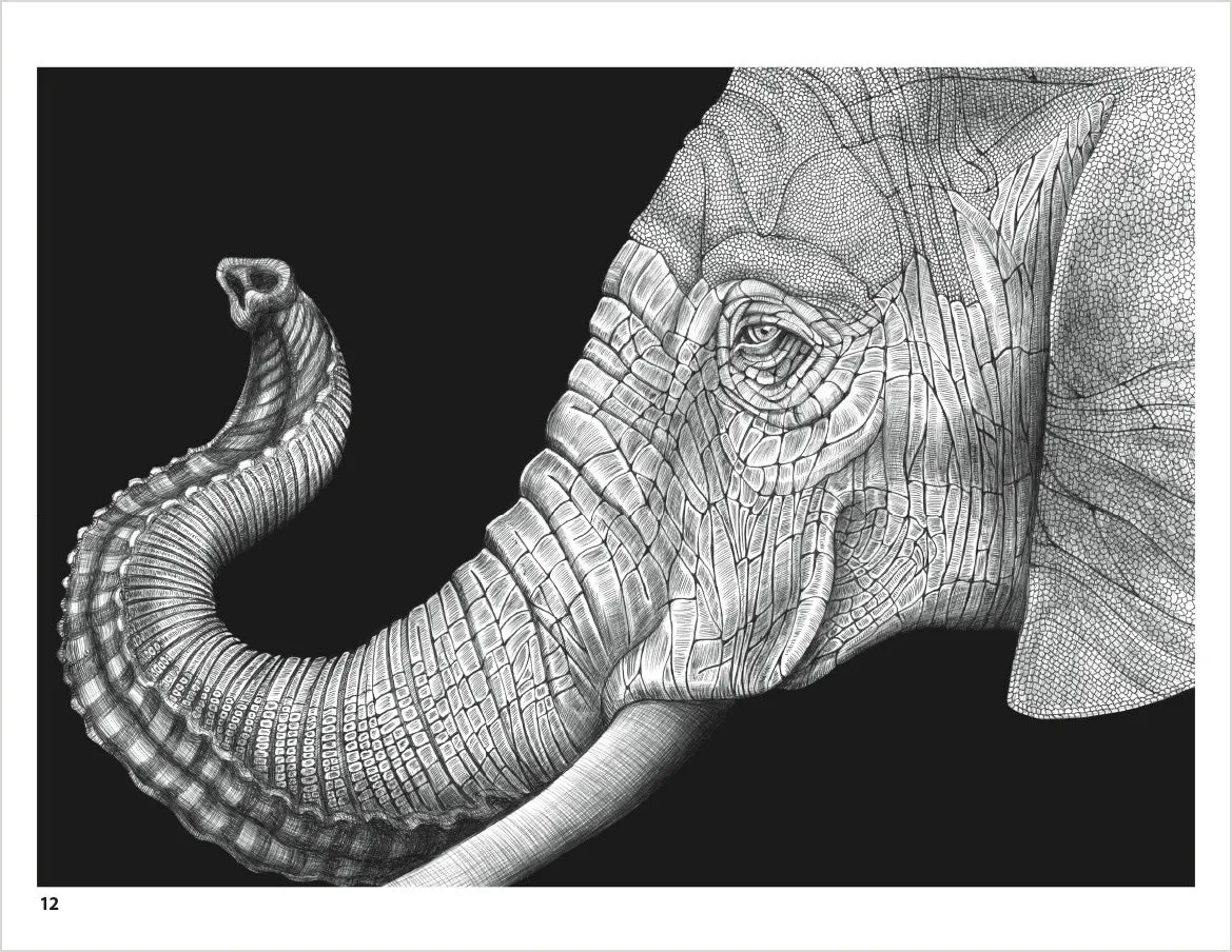 Intricate Ink: Animals in Detail Coloring Book