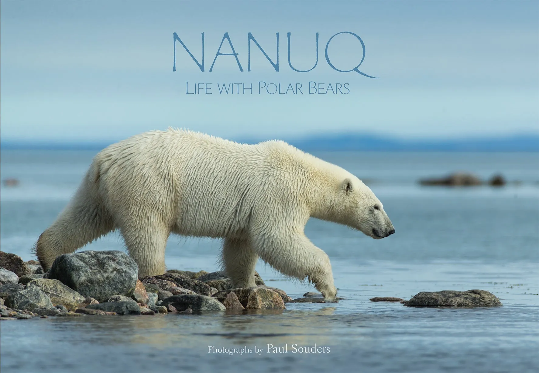 Nanuq: Life with Polar Bears