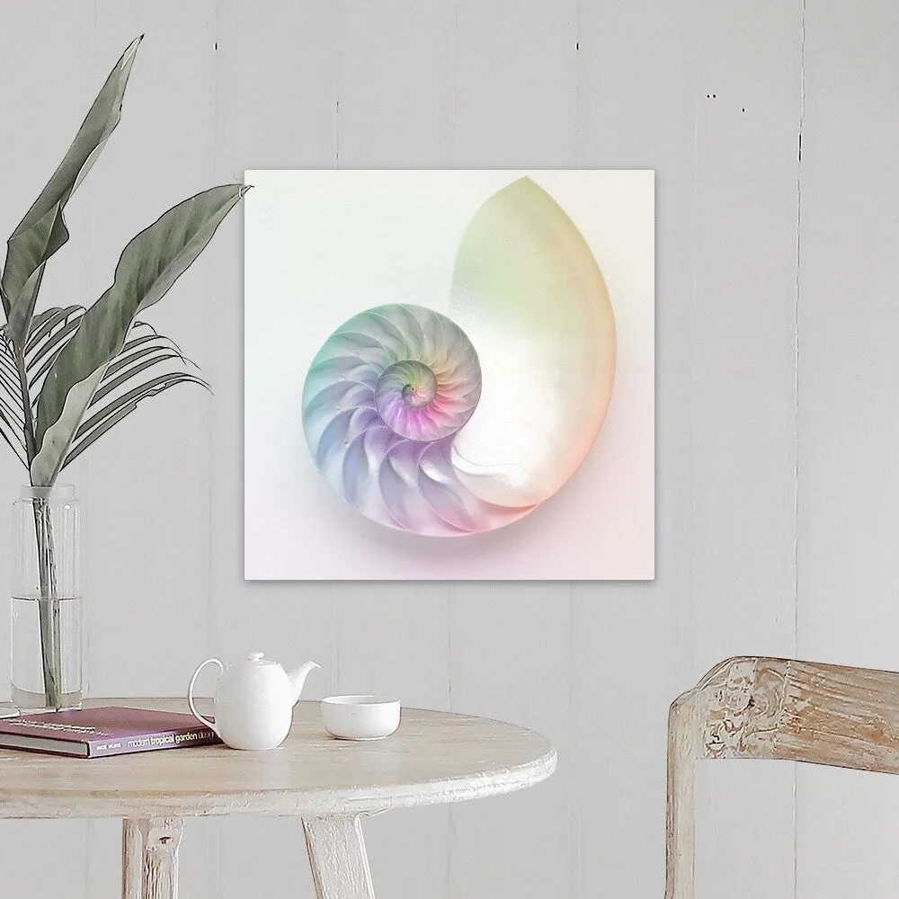 "Artistic colored nautilus image" Canvas Wall Art - Multi