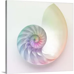 "Artistic colored nautilus image" Canvas Wall Art - Multi