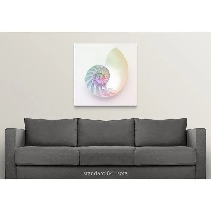 "Artistic colored nautilus image" Canvas Wall Art - Multi