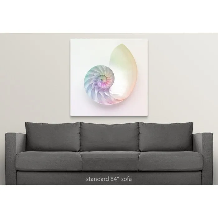 "Artistic colored nautilus image" Canvas Wall Art - Multi