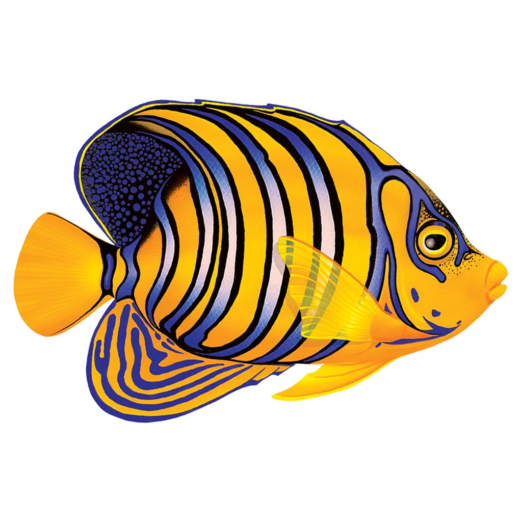 Regal Angelfish - Pool Mosaic