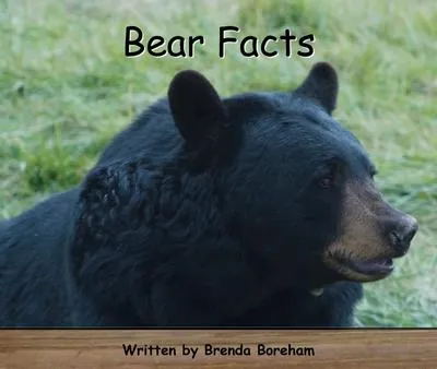 Strong Readers Set A Level 7 - Bear facts