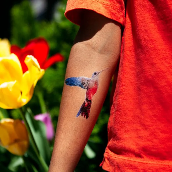 Tattly Pairs Watercolor Hummingbird Tattoo